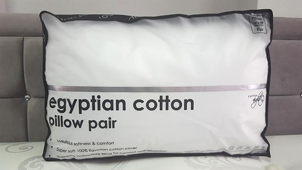 Egyptian Cotton Pillows
